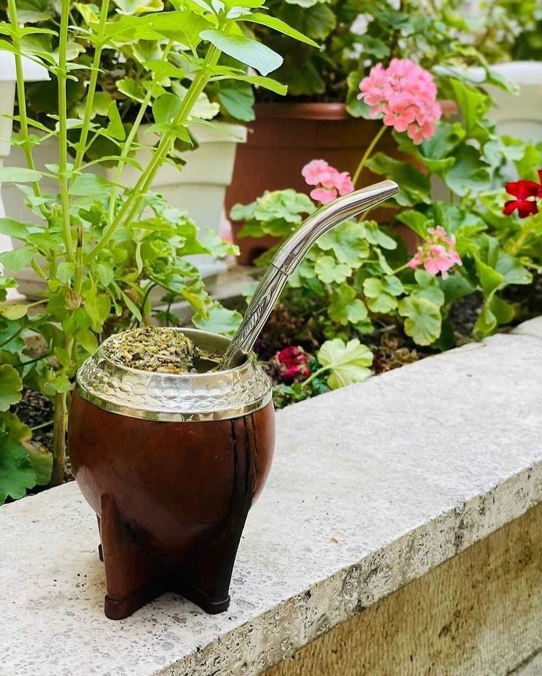 Mate Gourd Personalized - TORPEDO - ARGENTINA MATE + STRAW, Custom Mate Cup